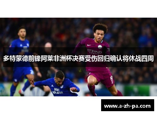 多特蒙德前锋阿莱非洲杯决赛受伤回归确认将休战四周